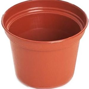 Shop Succulents 2″ Plastic Nursery Pots, Pack of 40