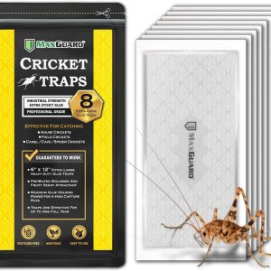 MaxGuard Extra Large Cricket Traps (8 Traps) | Non-Toxic Extra Sticky Glue Board Pre-Baited Cricket Attractant | Trap & Kill House Crickets, Insects, Spiders, Bugs |