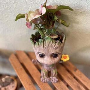 Groot Planter Pot, Baby Groot Bird-Nest Model Succulent Planter Pot Cute Green Plants Pot Groot Flower Pot, Groot Pen Holder with Hole