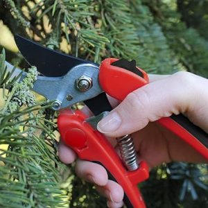 Darlac Compound Action Pruner