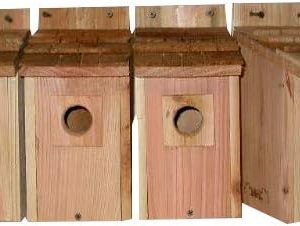 Cedarnest Bluebird Birdhouse with Cedar Shake Roof, Front Opening Wall Mount Wood Bird House, 4 Count